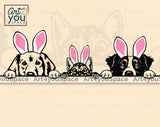 Cat Dog Easter PNG