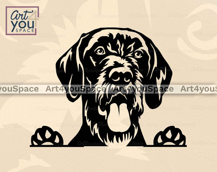 German Wirehaired Pointer peeking clipart