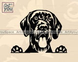 German Wirehaired Pointer peeking clipart