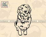 Golden Retriever sitting vector image