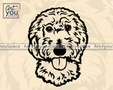 Golden Doodle  PNG