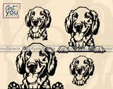 Golden Retriever Svg