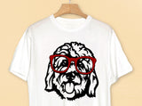 Golden Doodle  PNG