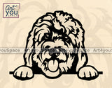 Golden doodle Vector