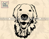 Labrador Retriever PNG