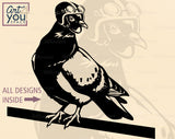 Pigeon in a helmet SVG