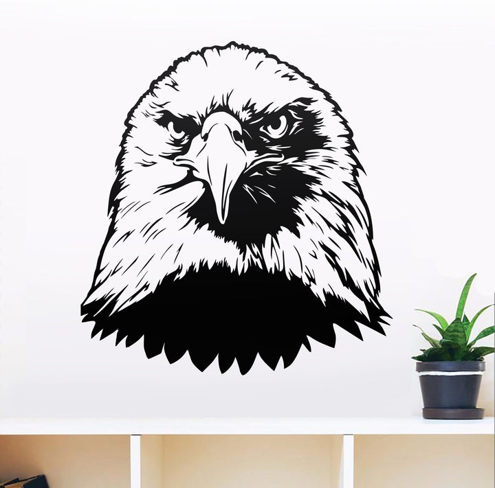 Bald Eagle Vector