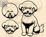 Bichon Frise SVG