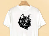 Cat PNG