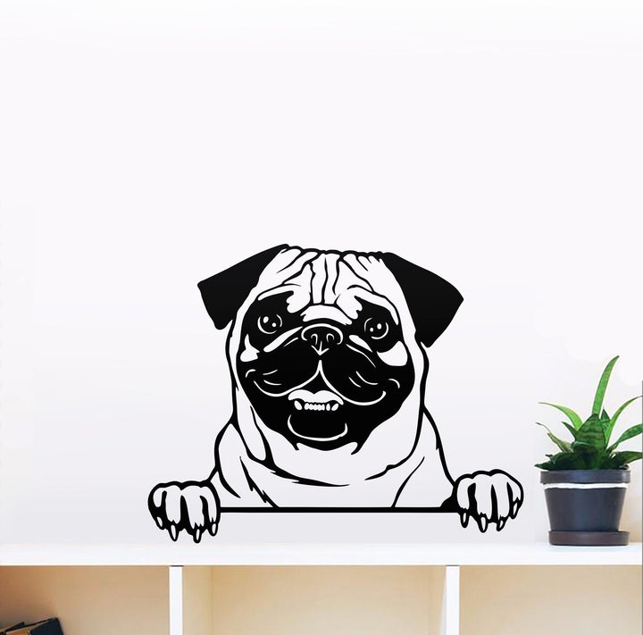 Pug PNG