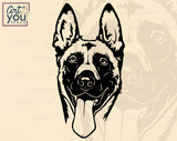Belgian Malinois PNG