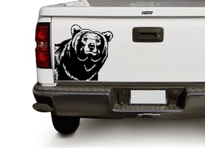 Grizzly Bear Vector