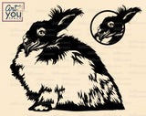 English Angora Rabbit SVG