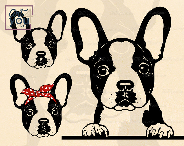 Boston Terrier SVG