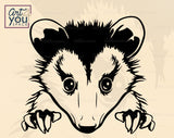 Opossum Vector