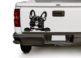 French Bulldog DXF