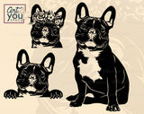 French Bulldog  SVG