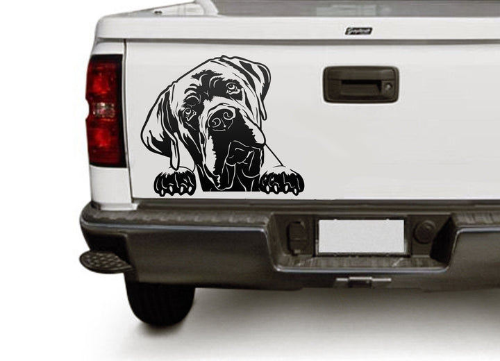 Cane Corso Vector