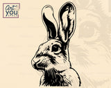  Rabbit Vector