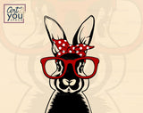 Rabbit Clipart