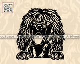 Irish Water Spaniel Art