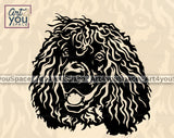 Irish Water Spaniel PNG