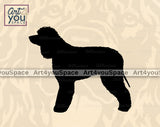 Irish Water Spaniel Vector