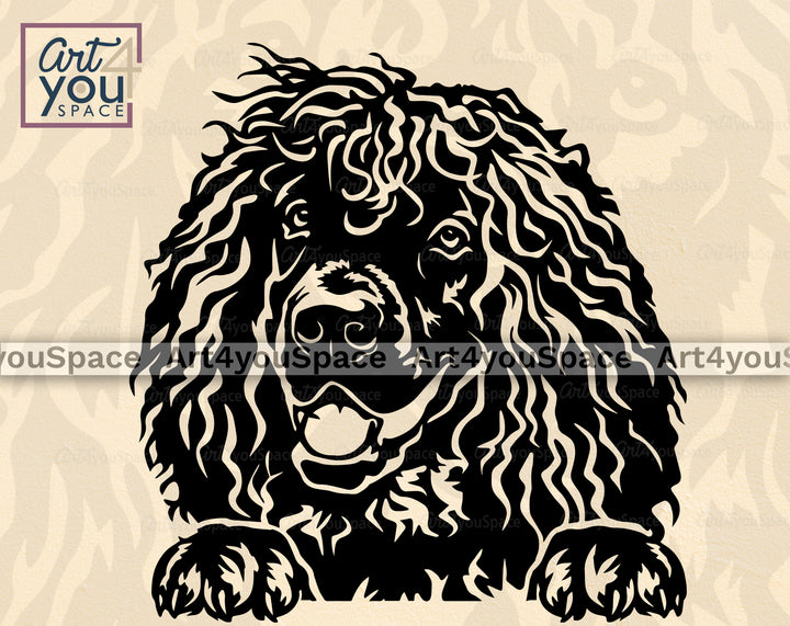 Irish Water Spaniel Clipart