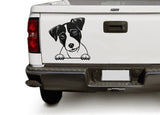 jack_russell_terrier_dxf