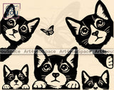 cute peeking kitten svg bundle