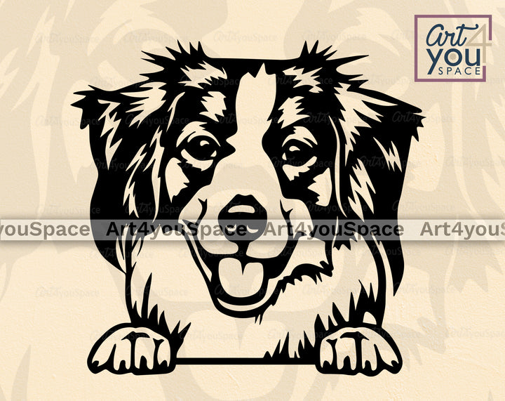 Kooikerhondje PNG