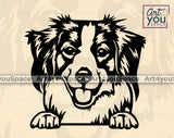 Kooikerhondje PNG