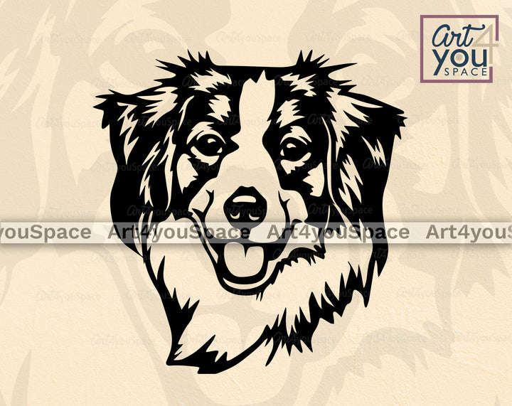 Kooikerhondje Vector