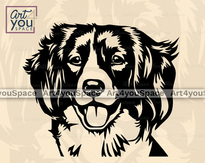Kooikerhondje PNG