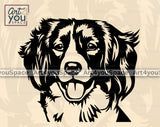 Kooikerhondje PNG