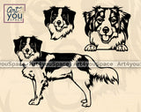 Kooikerhondje SVG