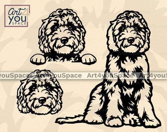 Labradoodle Svg Files