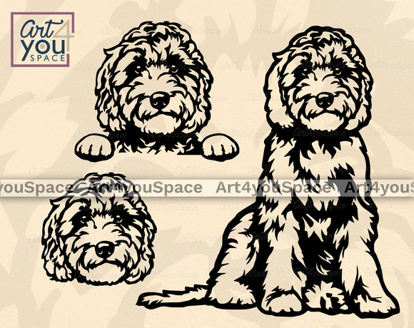 Labradoodle Svg Files