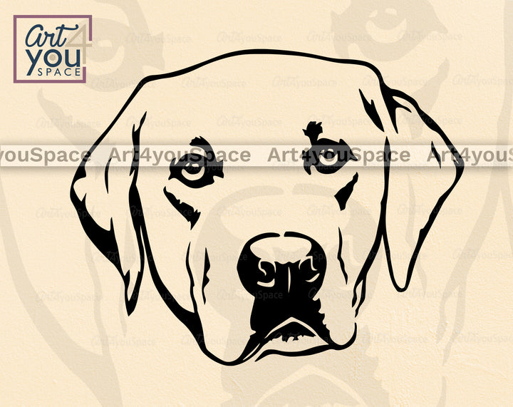Labrador Retriever DXF