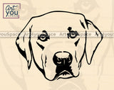 Labrador Retriever DXF