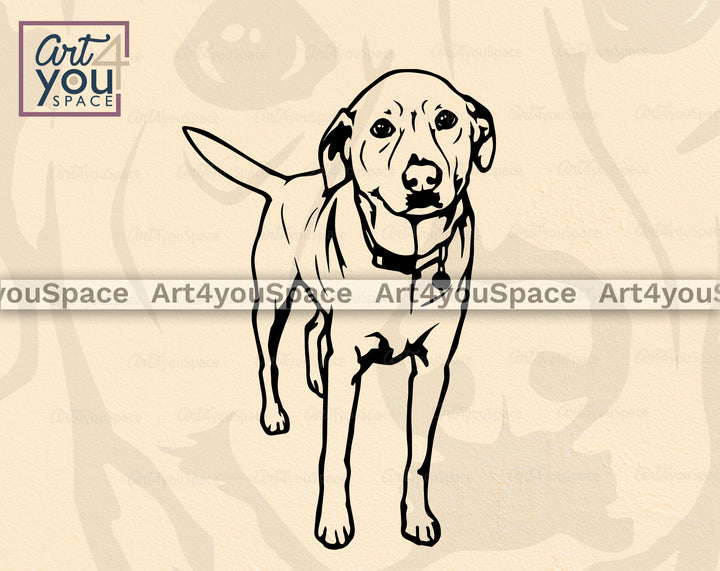 Labrador SVG