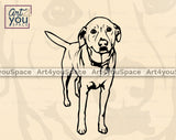 Labrador SVG