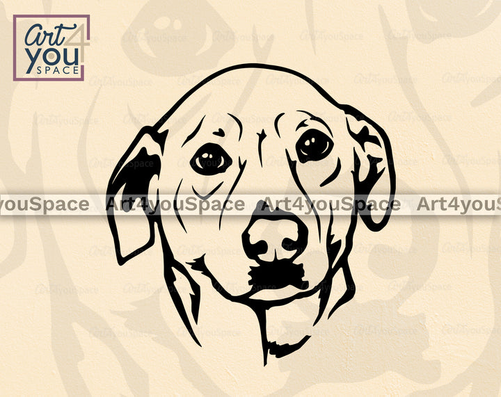 Labrador Vector