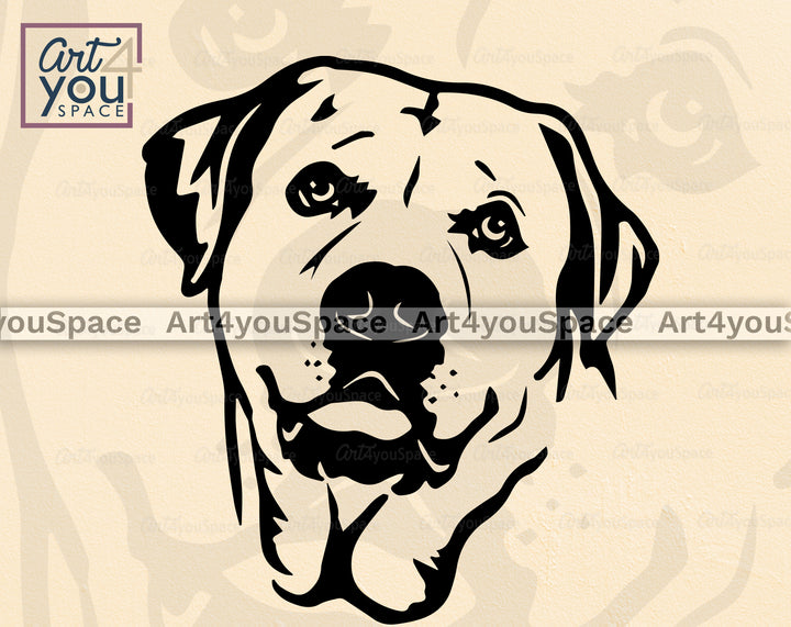 Labrador Retriever PNG
