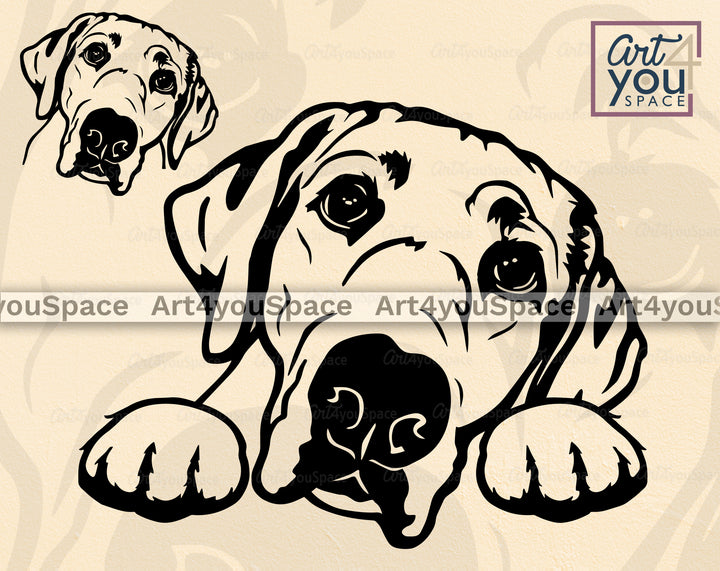 Labrador SVG