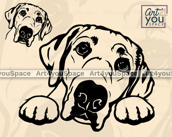 Labrador SVG