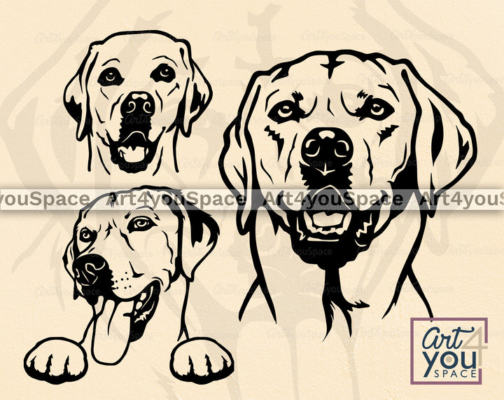 Labrador DXF