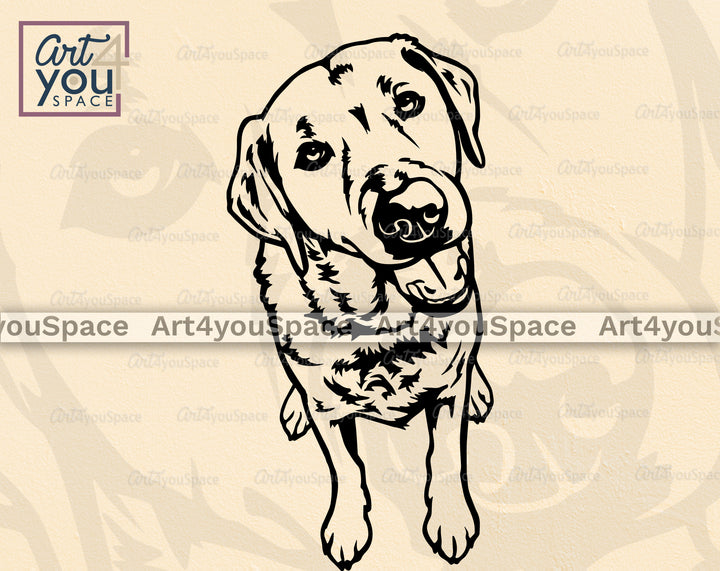 Labrador Vector
