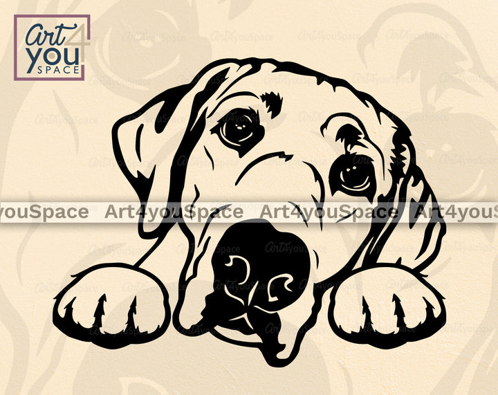 Labrador Retriever Vector
