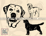 Labrador Retriever  SVG
